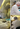 collage of three photos - left most photo is a man in a lab coat, hair net, glasses, mask, and gloves working under a sterile hood. - top right photo is a man in a lab coat, hair net, glasses, mask, and gloves working on steel table with brown bottles of VetIMMUNE PI - lower right photo is a man and a woman in lab coats, hairnets, glasses, mask, and gloves with their back to the camera working in a sterile hood.