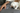 Photo of a orange and white cat on a pillow with owner's arm in frame - business owner's cat