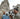 A man and woman hold their dogs in front of a cathedral