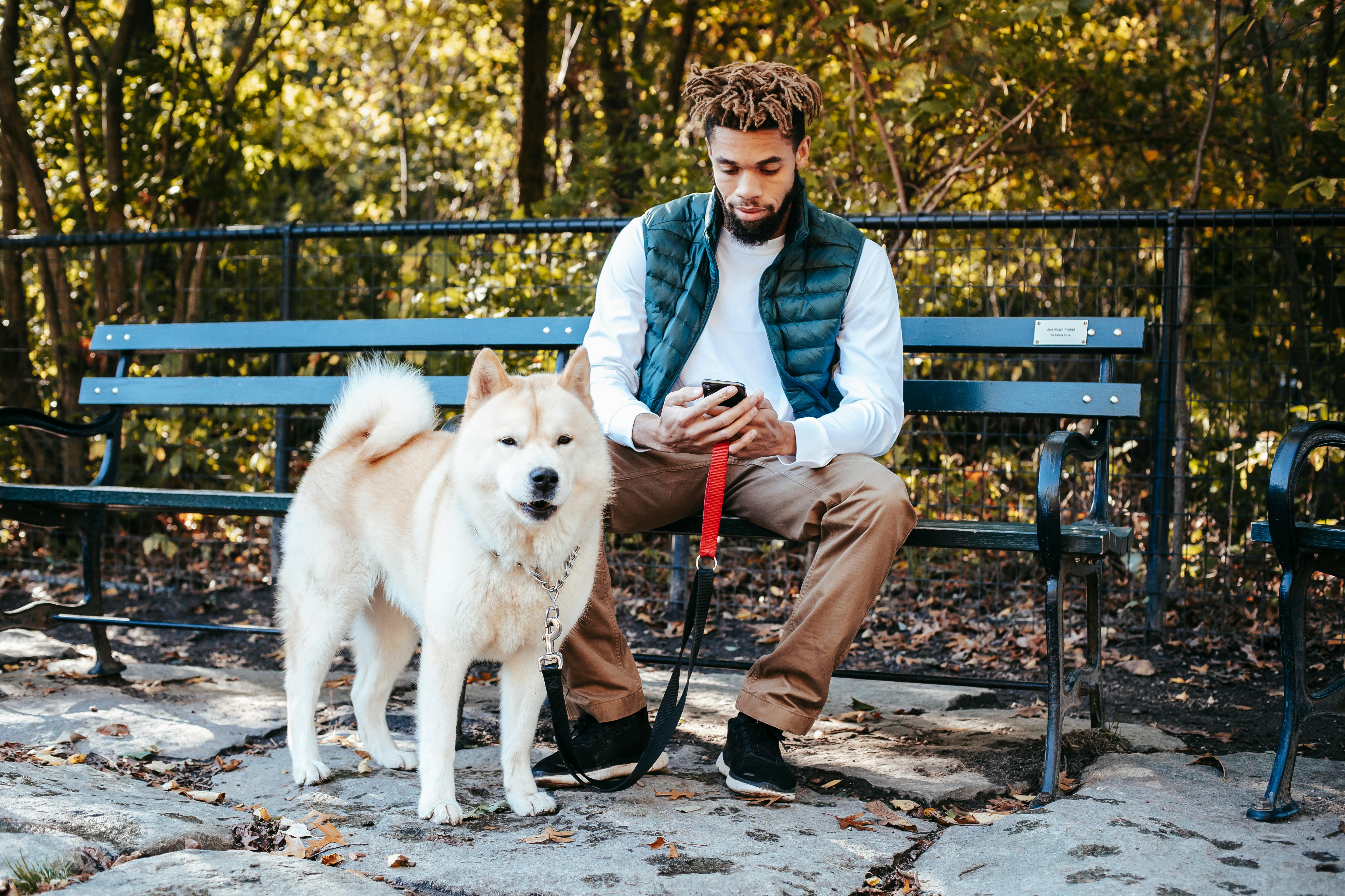 Photo of a man sitting on a park bench on his phone with his dog