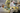collage of three photos - left most photo is a man in a lab coat, hair net, glasses, mask, and gloves working under a sterile hood. - top right photo is a man in a lab coat, hair net, glasses, mask, and gloves working on steel table with brown bottles of VetIMMUNE PI - lower right photo is a man and a woman in lab coats, hairnets, glasses, mask, and gloves with their back to the camera working in a sterile hood. 