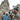 A man and woman hold their dogs in front of a cathedral